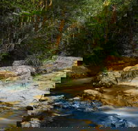 Jumrum Creek Walk Jumrum Creek Conservation Park - Accommodation Sunshine Coast
