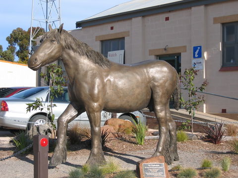 Maitland - Accommodation Sunshine Coast 0
