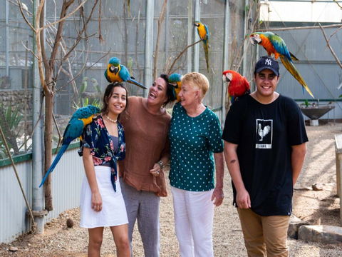 Maleny Botanic Gardens And Bird World - Accommodation Sunshine Coast 0