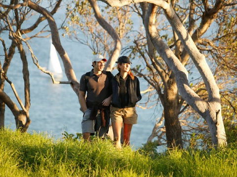 Manly To Spit Bridge Scenic Walkway - Accommodation Sunshine Coast 2