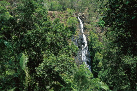 Mapleton Falls National Park - Accommodation Sunshine Coast 0