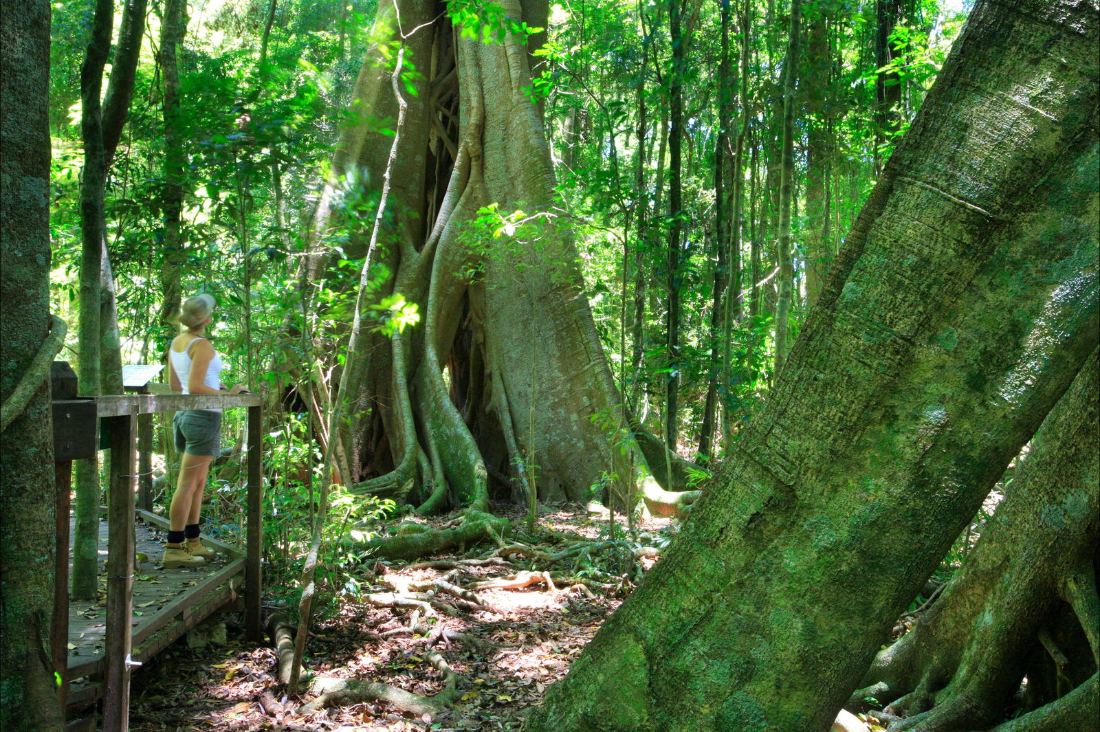 Booroobin QLD Accommodation Sunshine Coast