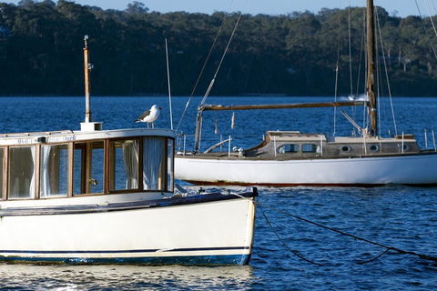 Metung - Accommodation Sunshine Coast 2