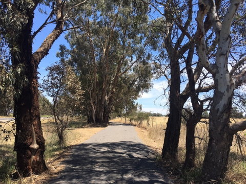 Mokoan Discovery Trail - Accommodation Sunshine Coast 1