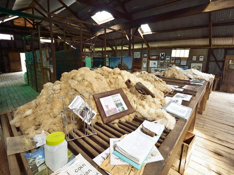 Mooloomoon Shearing Shed - Accommodation Sunshine Coast 1
