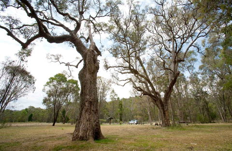 Moolarben Picnic Area - Accommodation Sunshine Coast 0
