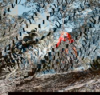 Mountain Bike Trails Deniliquin - Accommodation Sunshine Coast