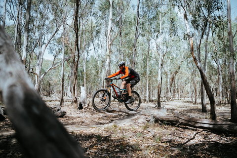 Mountain Bike Trails Deniliquin - Accommodation Sunshine Coast 2