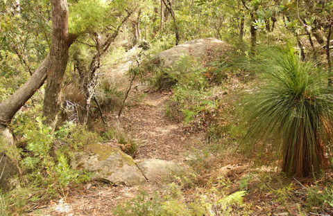 Mount Carnarvon Walking Track - Accommodation Sunshine Coast 0