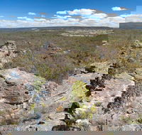 Munghorn Gap Nature Reserve - Accommodation Sunshine Coast