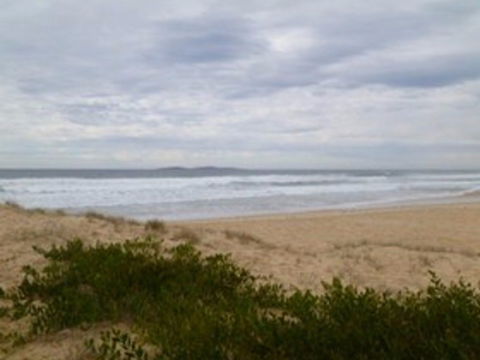 Narooma Surf Beach - Accommodation Sunshine Coast 0