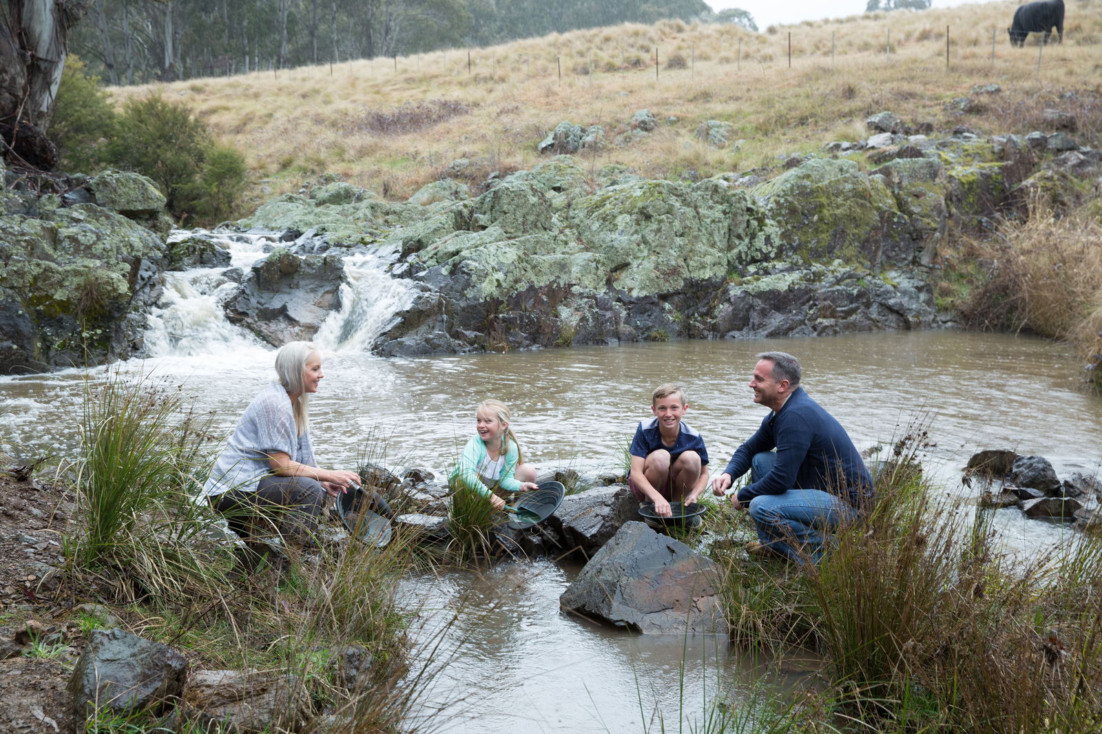Somerton NSW Accommodation Sunshine Coast