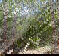 One Mile Creek shared path - Accommodation Sunshine Coast