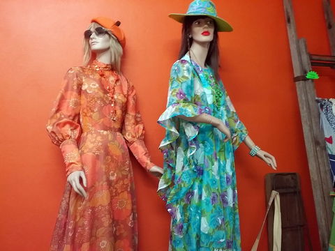 Orange Daze - Accommodation Sunshine Coast 0