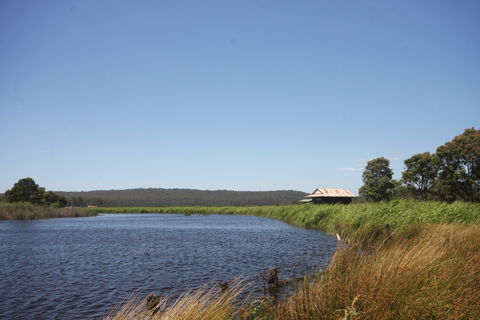 Panboola Wetlands - Accommodation Sunshine Coast 0