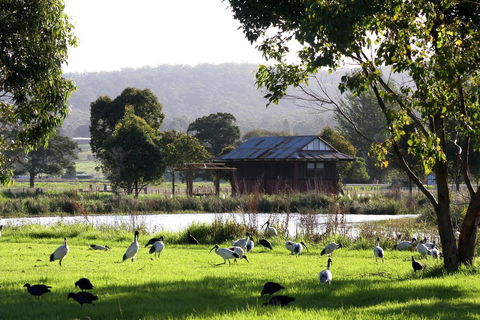 Panboola Wetlands - Accommodation Sunshine Coast 1