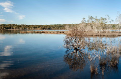 Pattimores Lagoon - Accommodation Sunshine Coast 0