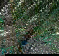 Pholis Gap Walking Track - Accommodation Sunshine Coast