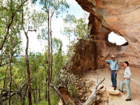 Pilliga Forest - Accommodation Sunshine Coast 0