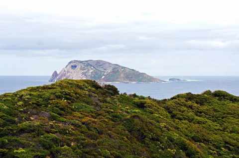 Point D'Entrecasteaux - Accommodation Sunshine Coast 0