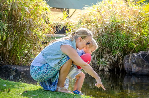 Queens Park Waterfall - Accommodation Sunshine Coast 2