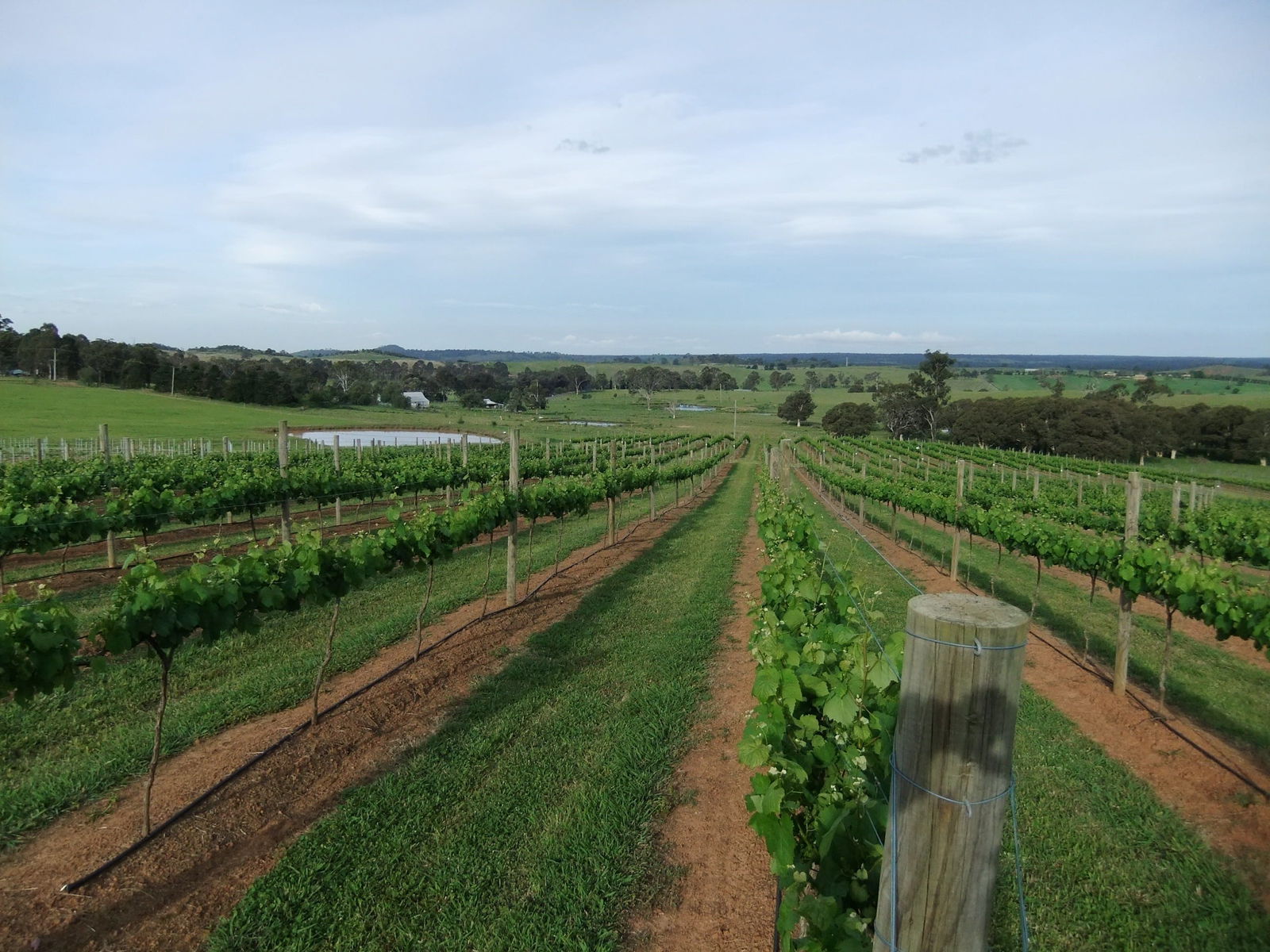 Razorback NSW Accommodation Sunshine Coast