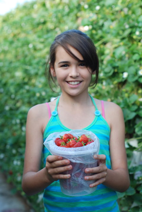 Ricardoes Tomatoes And Strawberries Farm, Port Macquarie - Accommodation Sunshine Coast 0