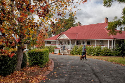 Ringsfield House, Nanango - Accommodation Sunshine Coast 1