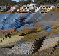 Sculpture Trail at Lake Crackenback Resort and Spa - Accommodation Sunshine Coast