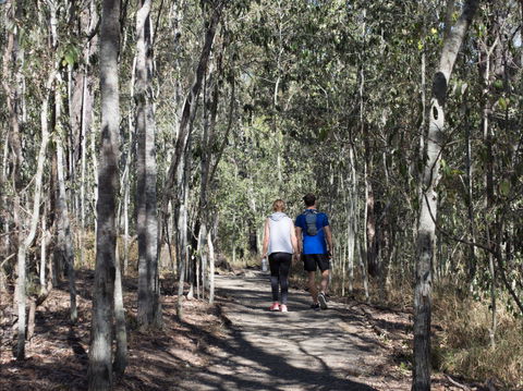 Six Mile Creek, Bluff Lookout And Little White Rock Trails - Accommodation Sunshine Coast 0