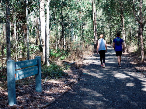 Six Mile Creek, Bluff Lookout And Little White Rock Trails - Accommodation Sunshine Coast 2