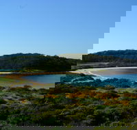 Snorkelling Broulee Island - Accommodation Sunshine Coast