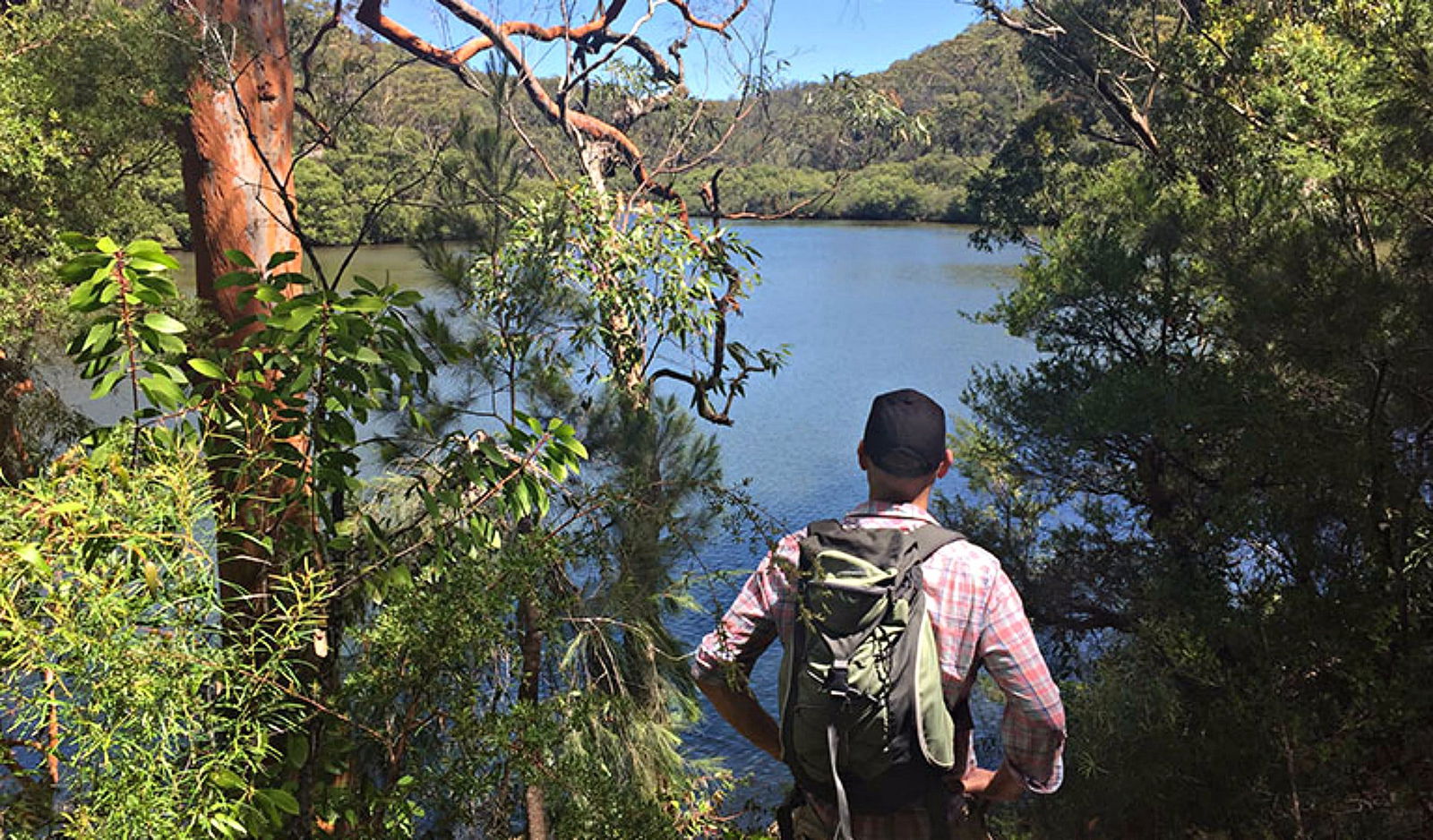 North Turramurra NSW Accommodation Sunshine Coast