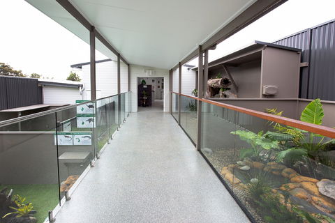 Steve McEwan's Reptile World - Accommodation Sunshine Coast 2