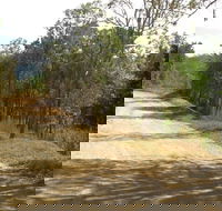 The Bloomfield Track - Accommodation Sunshine Coast