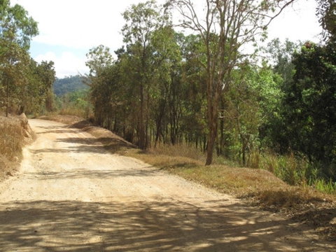 The Bloomfield Track - Accommodation Sunshine Coast 0