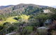 The Bellbird - thumb 0