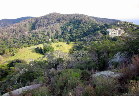 The Bellbird - Accommodation Sunshine Coast 0