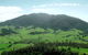 The Bellbird - thumb 1
