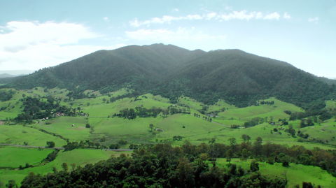 The Bellbird - Accommodation Sunshine Coast 1