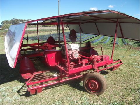 The Super Strawberry - Accommodation Sunshine Coast 2