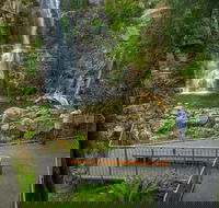 The Falls Walk Budderoo National Park - Accommodation Sunshine Coast