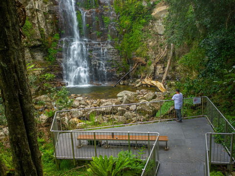 The Falls Walk, Budderoo National Park - Accommodation Sunshine Coast 0