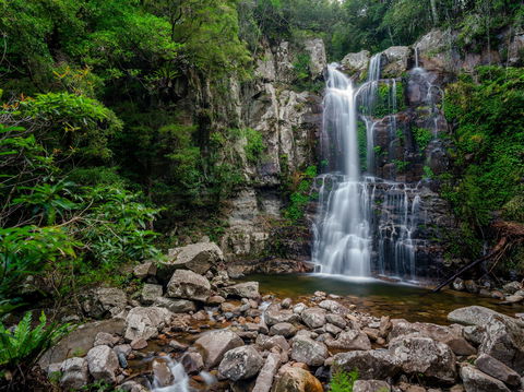 The Falls Walk, Budderoo National Park - Accommodation Sunshine Coast 1