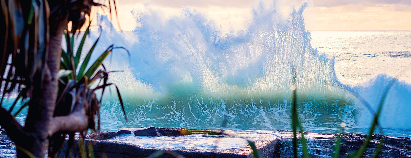 Tugun QLD Accommodation Sunshine Coast