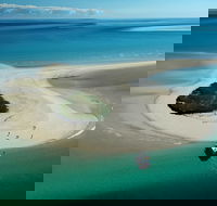 Turtle Discovery - Accommodation Sunshine Coast