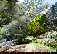 Wadbilliga Road drive - Accommodation Sunshine Coast
