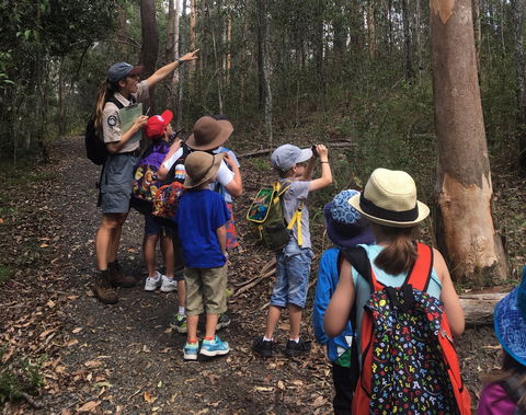 Walkabout Creek Discovery Centre - Accommodation Sunshine Coast 1