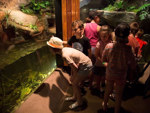 Walkabout Creek Discovery Centre - Accommodation Sunshine Coast 2