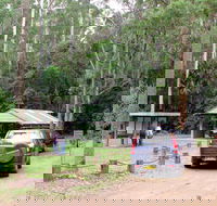 Wallingat Forest Drive - Accommodation Sunshine Coast